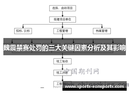 魏震禁赛处罚的三大关键因素分析及其影响